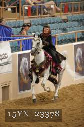 15YN_23378 proof