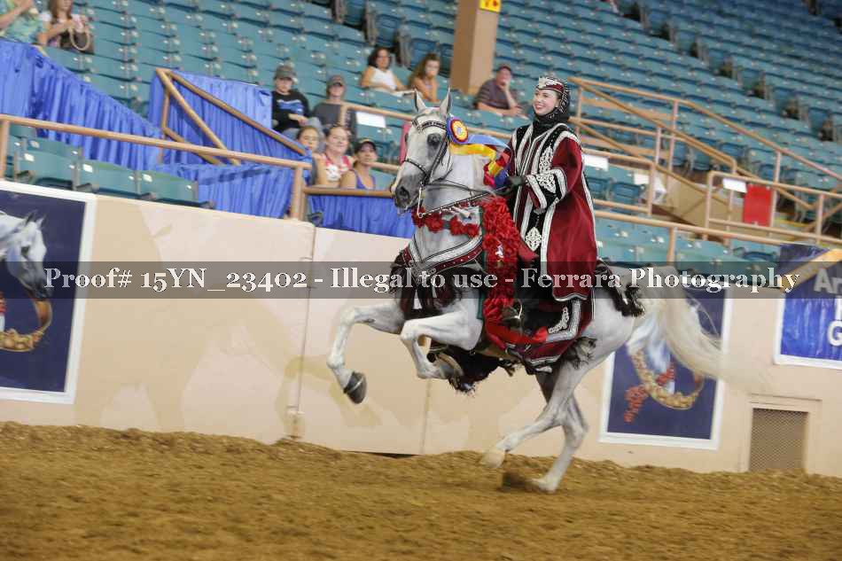 Proof 15YN_23402