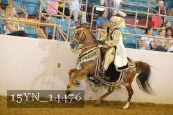 15YN_14476 proof
