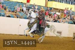 15YN_14491 proof