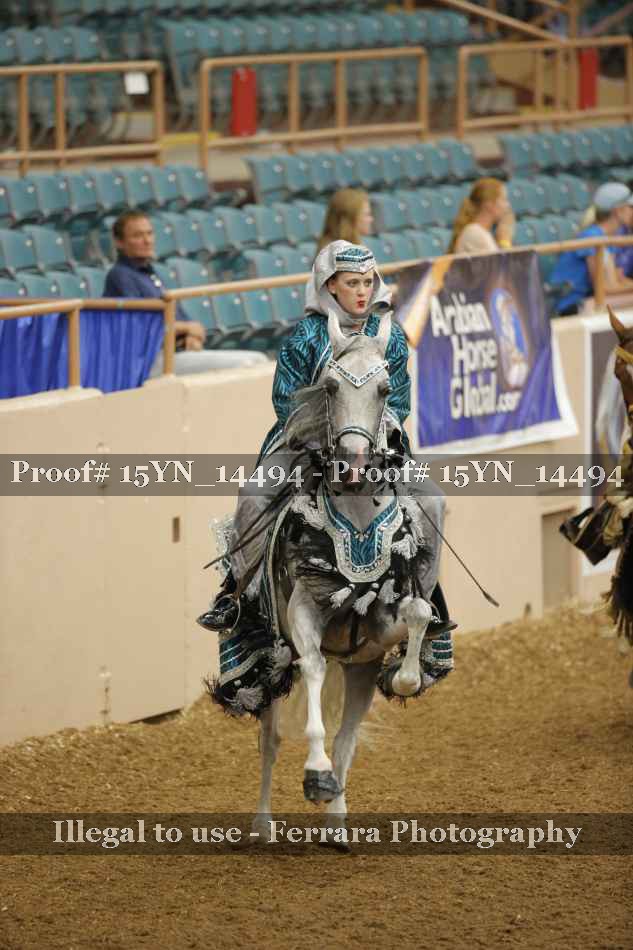 Proof 15YN_14494