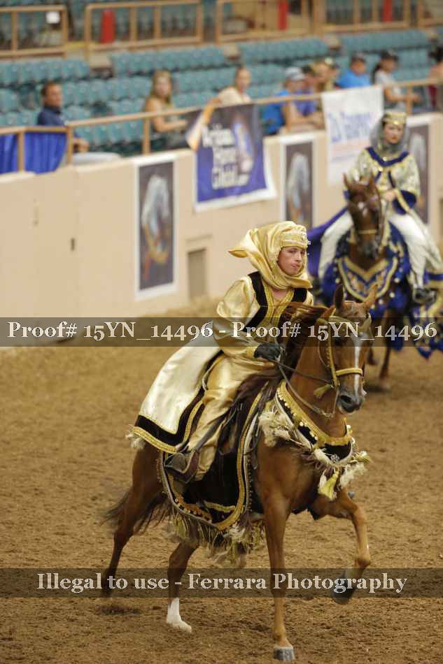 Proof 15YN_14496