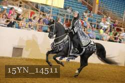 15YN_14511 proof
