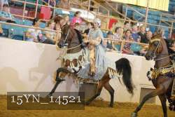 15YN_14521 proof