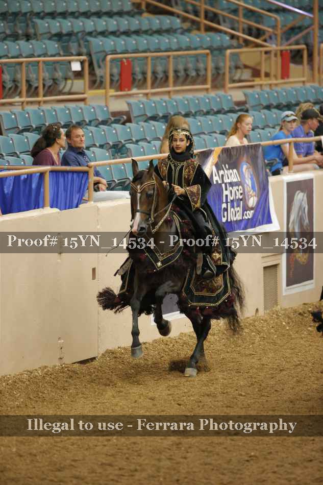 Proof 15YN_14534