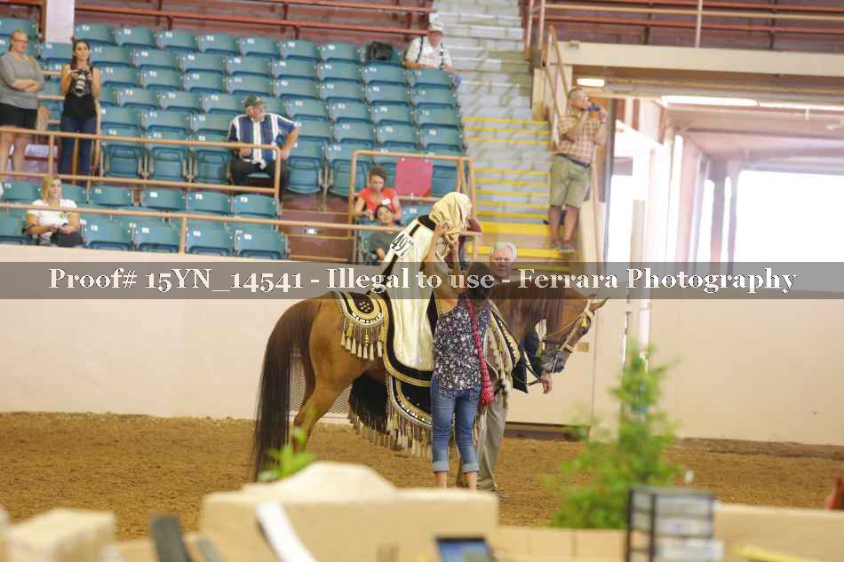 Proof 15YN_14541
