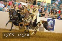 15YN_14546 proof