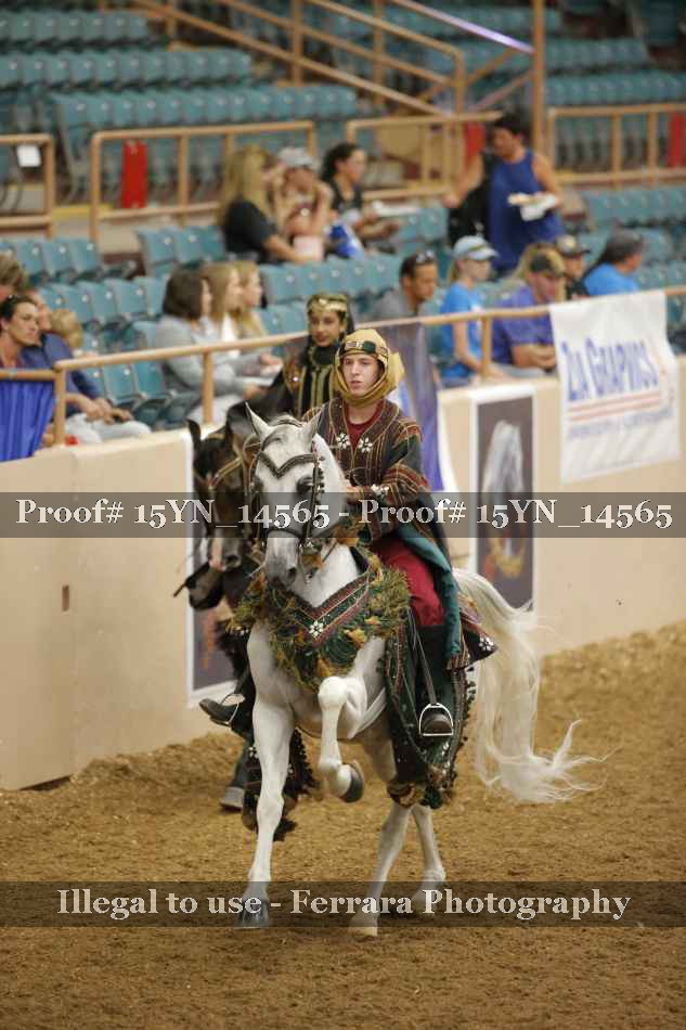 Proof 15YN_14565