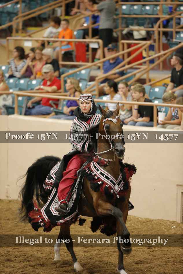 Proof 15YN_14577