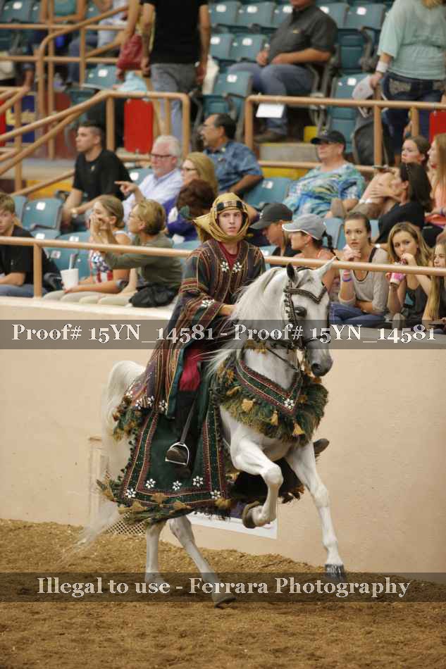 Proof 15YN_14581