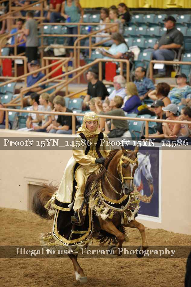 Proof 15YN_14586