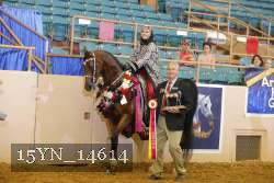 15YN_14614 proof