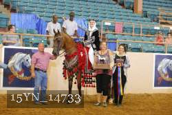 15YN_14733 proof