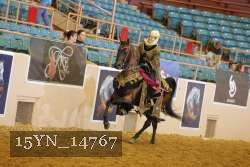 15YN_14767 proof