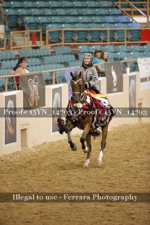 Proof 15YN_14793