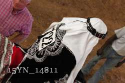 15YN_14811 proof