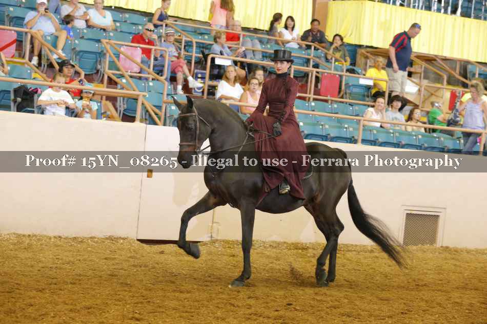 Proof 15YN_08265