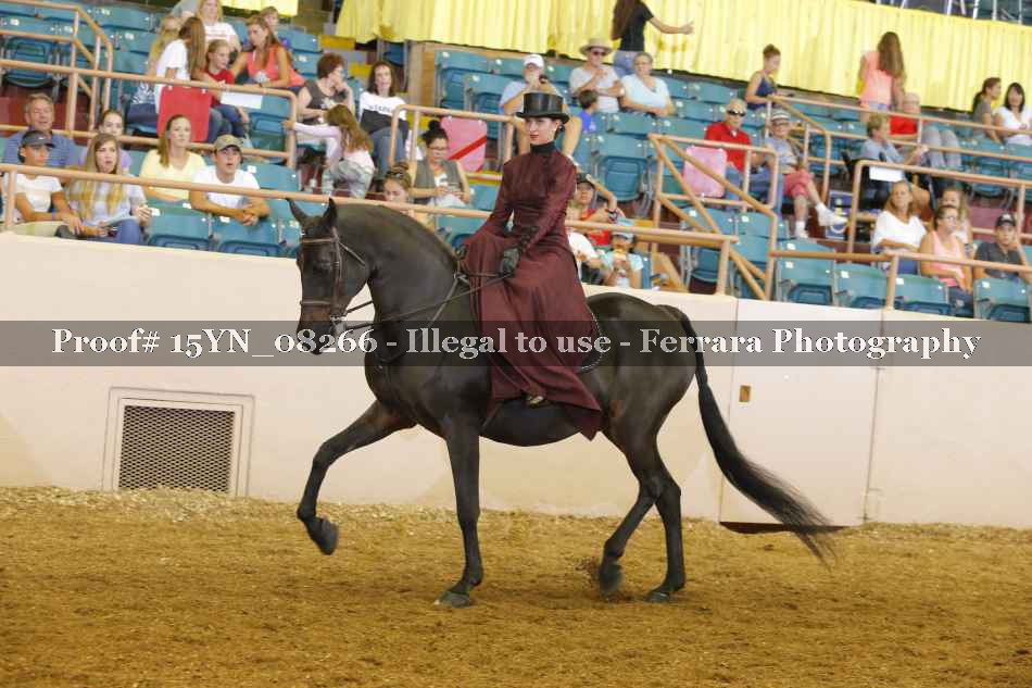 Proof 15YN_08266