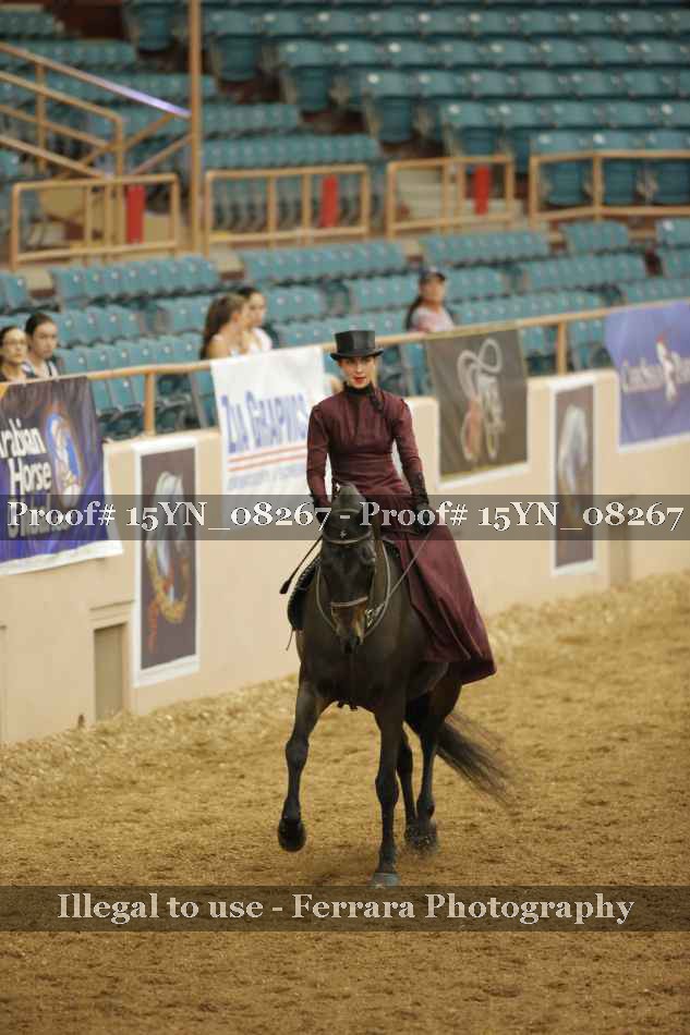 Proof 15YN_08267
