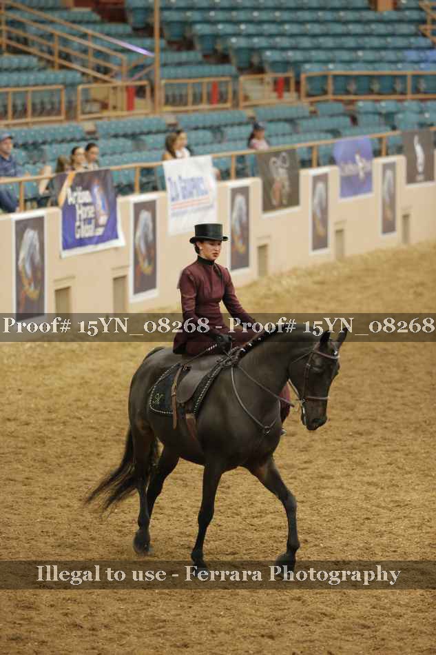 Proof 15YN_08268
