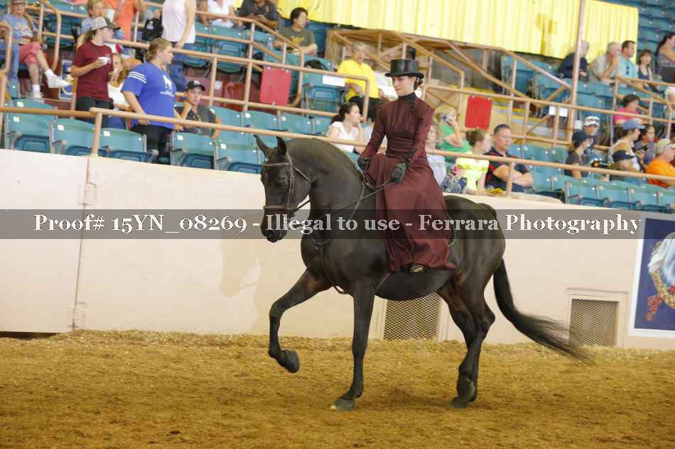 Proof 15YN_08269