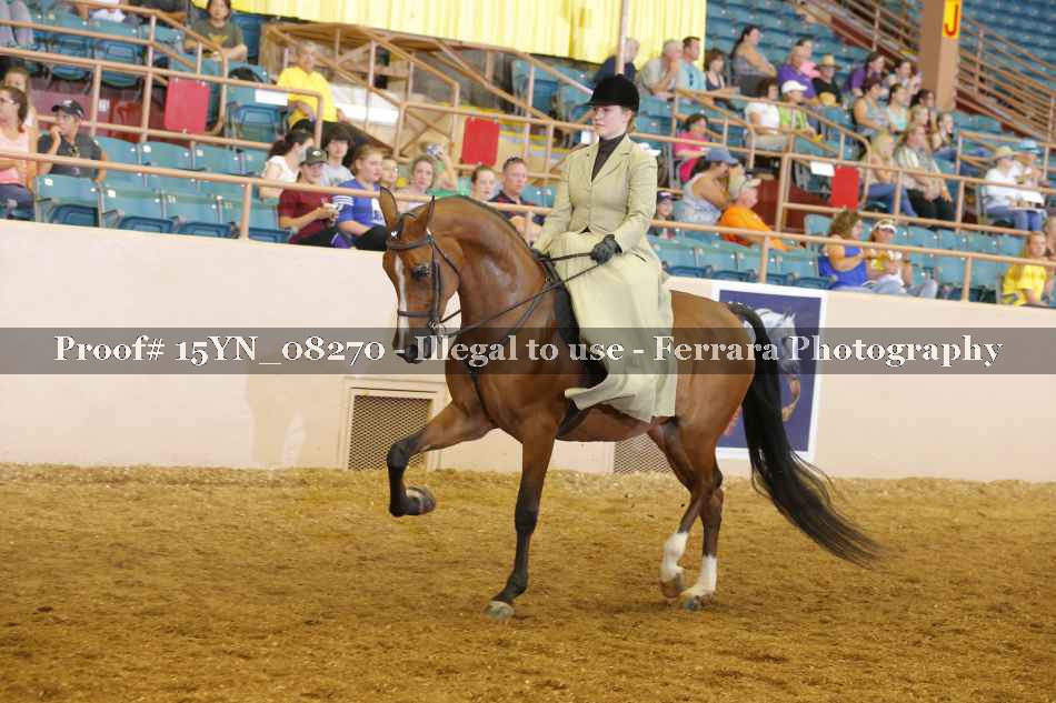 Proof 15YN_08270