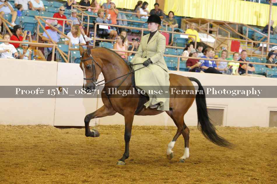Proof 15YN_08271
