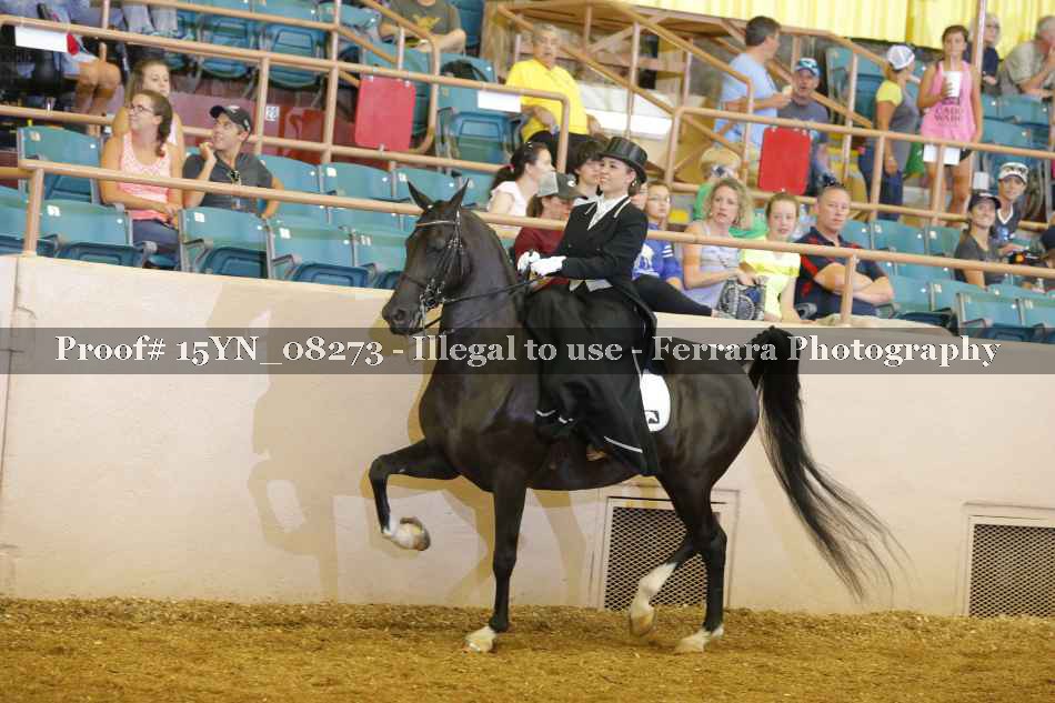 Proof 15YN_08273