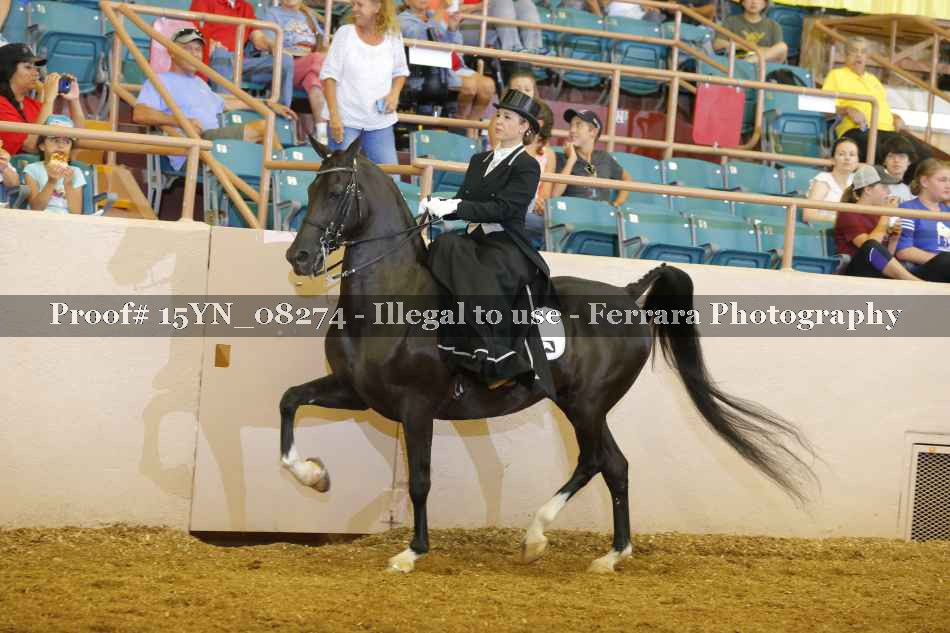 Proof 15YN_08274