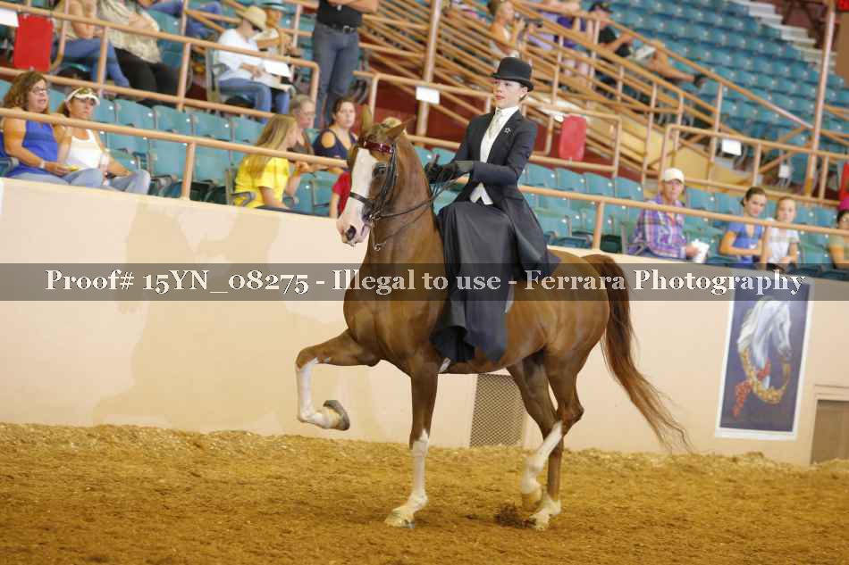 Proof 15YN_08275