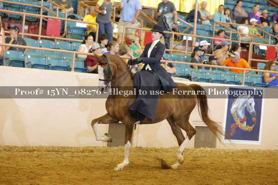 Proof 15YN_08276