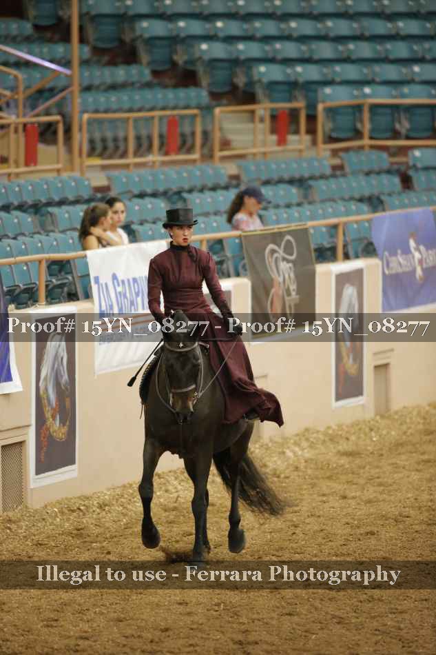Proof 15YN_08277