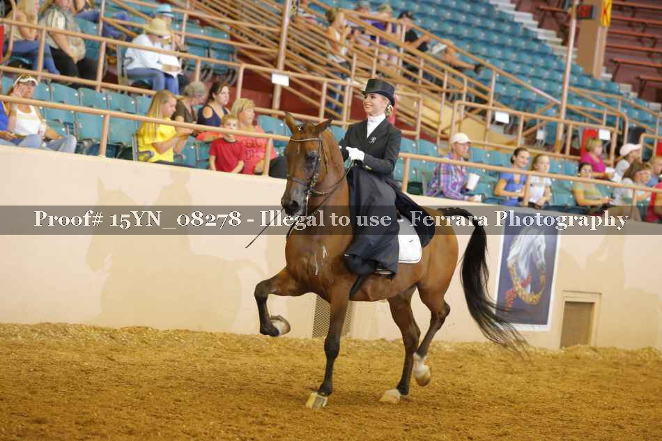 Proof 15YN_08278