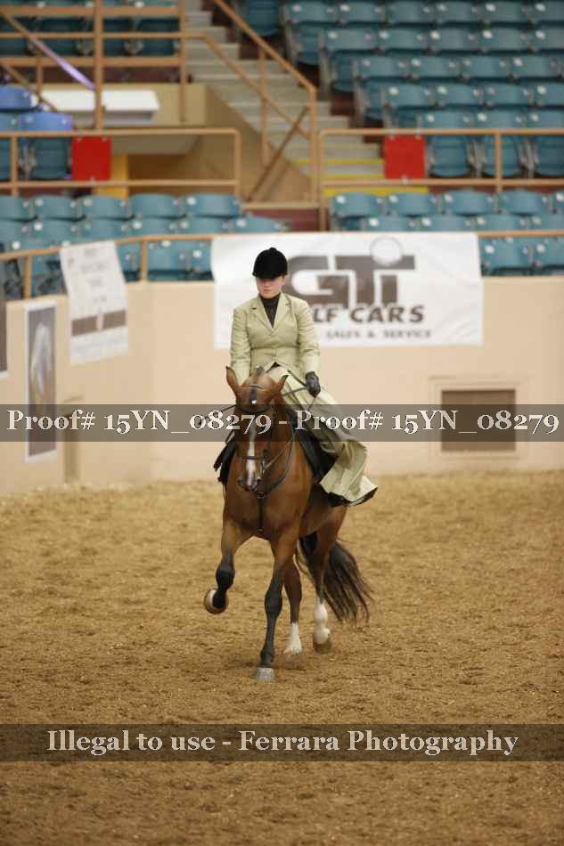Proof 15YN_08279