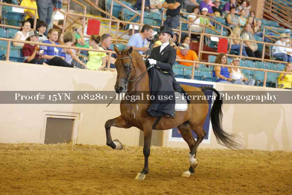 Proof 15YN_08280