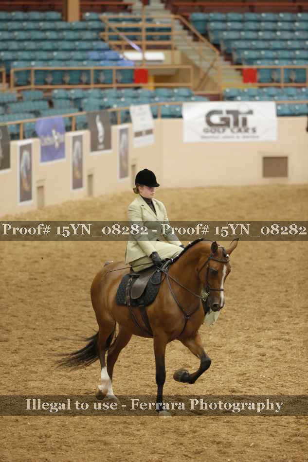 Proof 15YN_08282