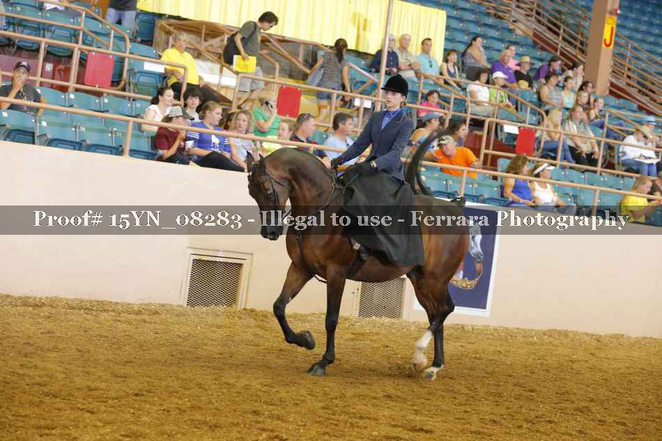 Proof 15YN_08283