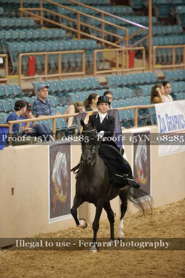 Proof 15YN_08285