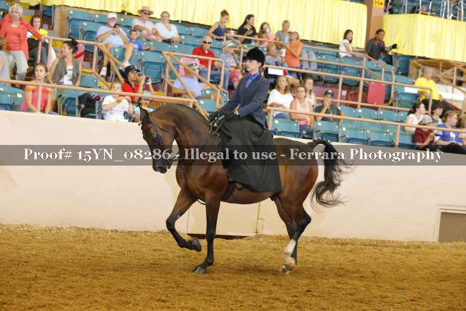 Proof 15YN_08286