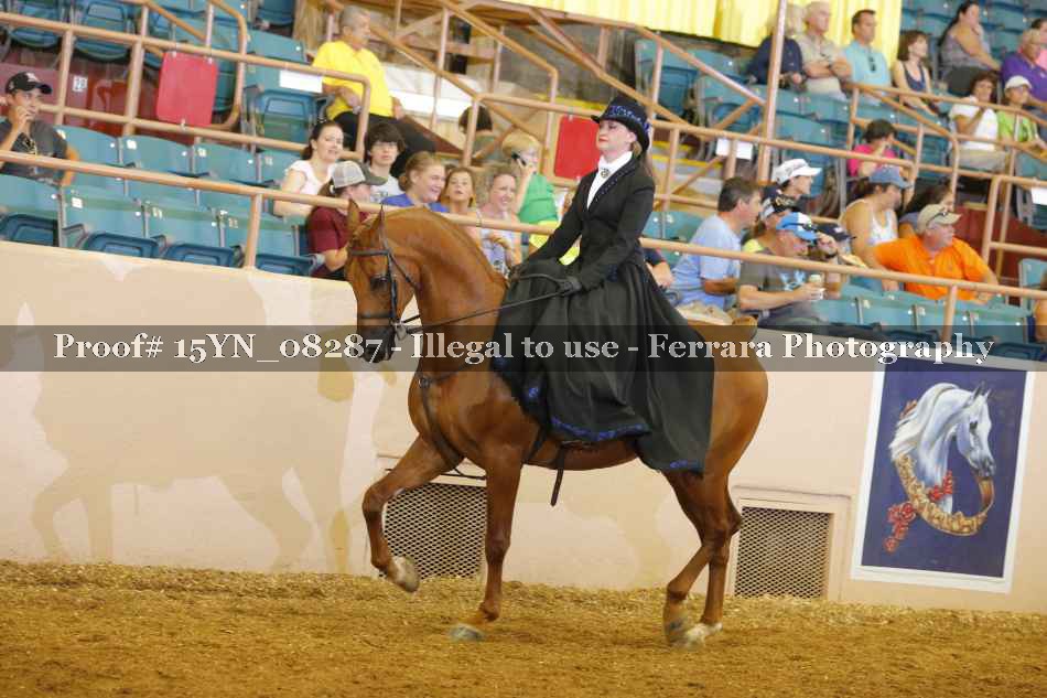 Proof 15YN_08287