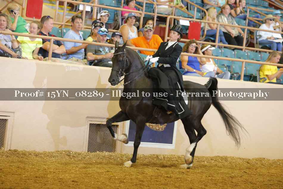 Proof 15YN_08289