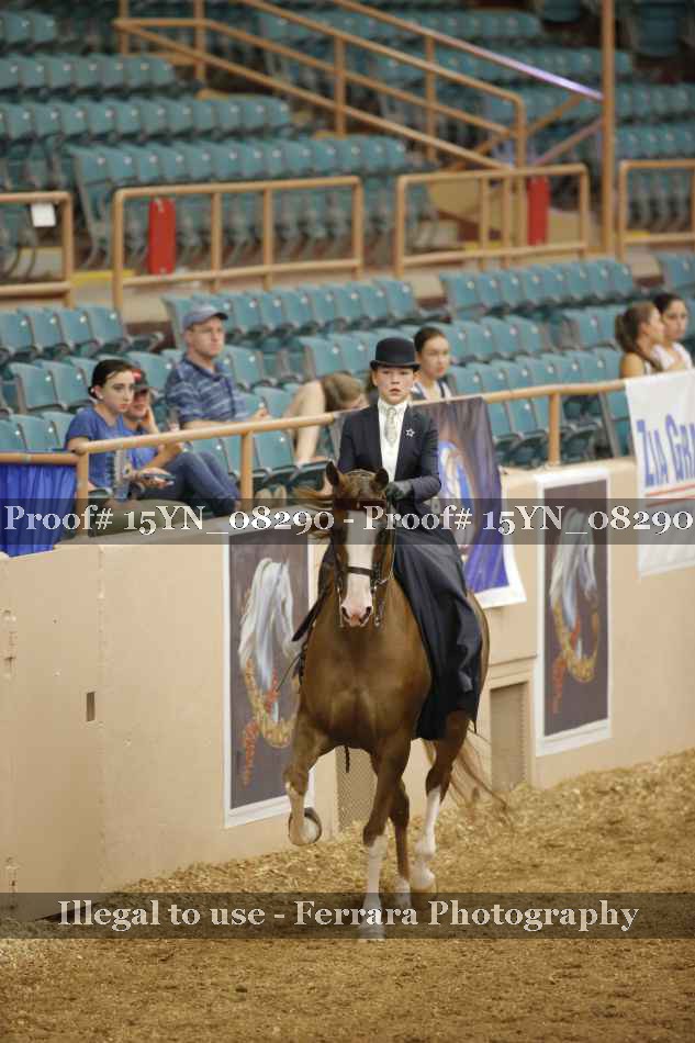 Proof 15YN_08290