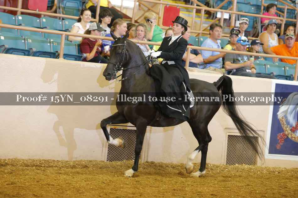 Proof 15YN_08291