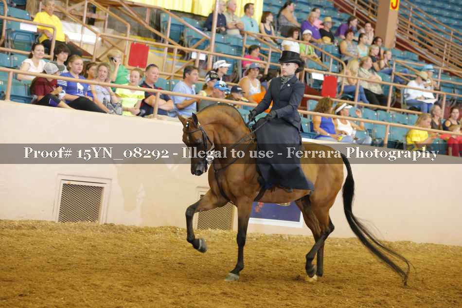 Proof 15YN_08292