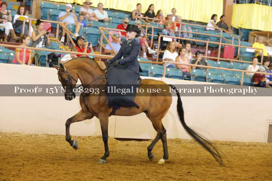 Proof 15YN_08293
