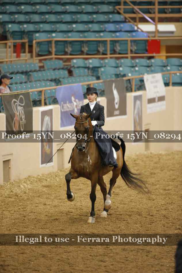 Proof 15YN_08294