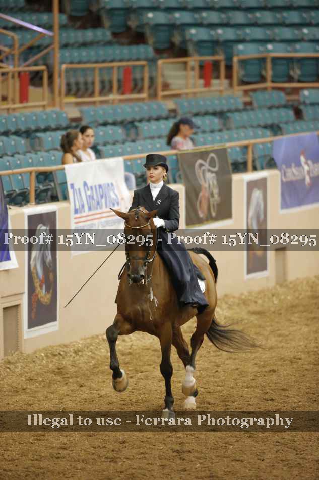 Proof 15YN_08295