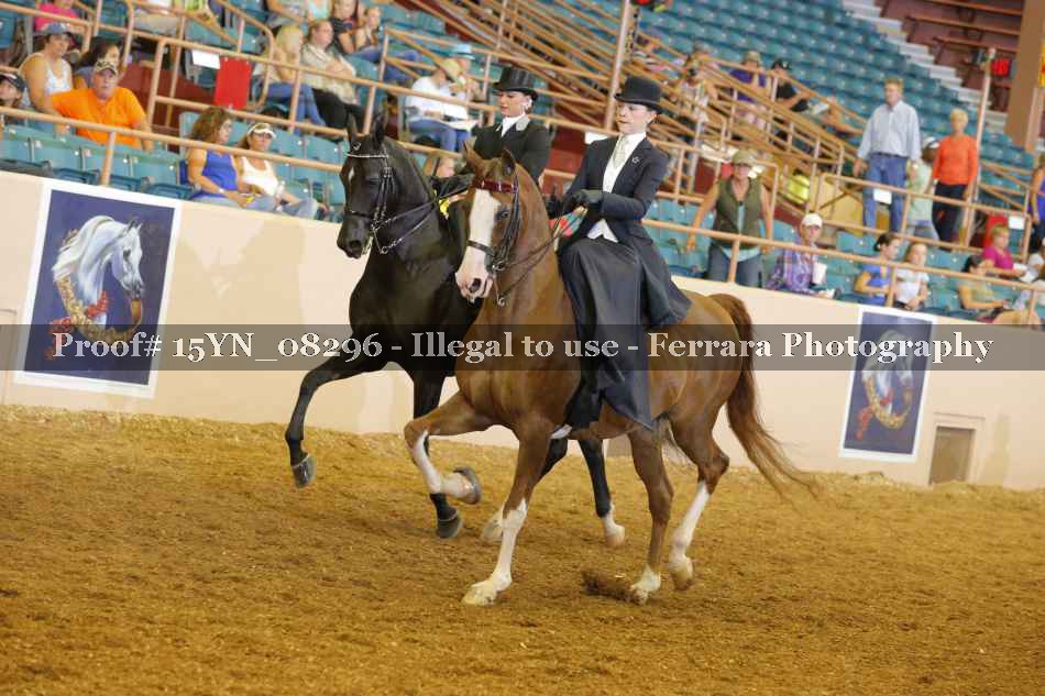 Proof 15YN_08296