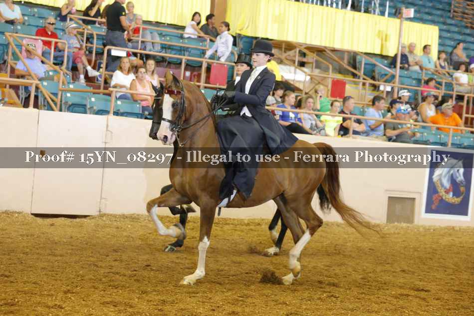 Proof 15YN_08297