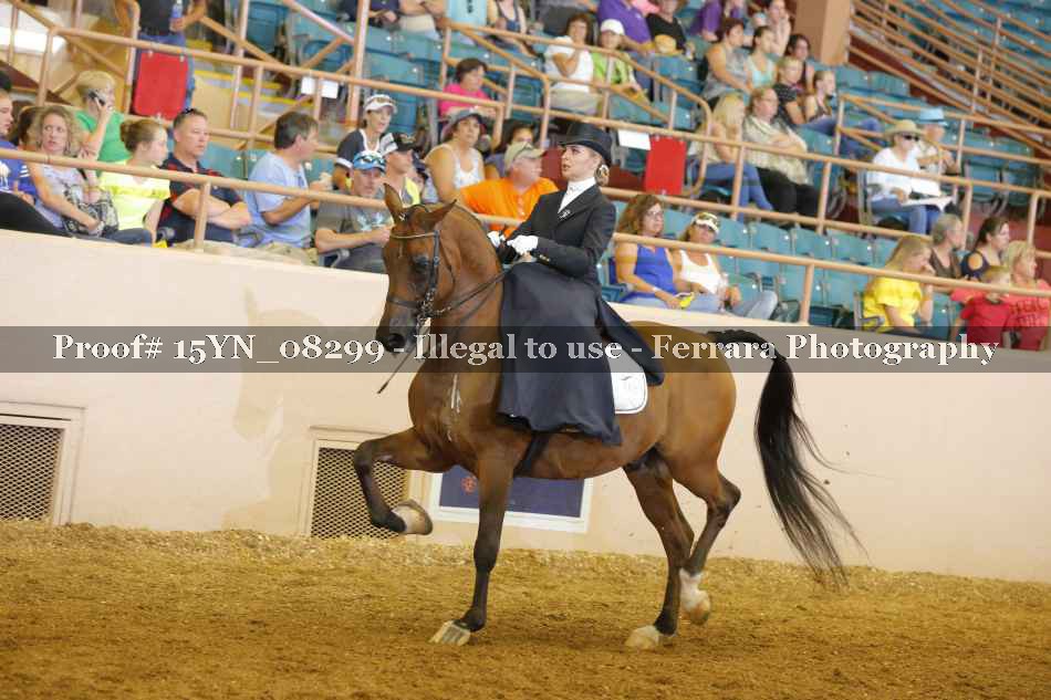 Proof 15YN_08299